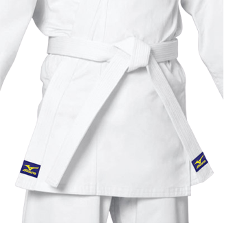 poyas-dlya-edinoborstv